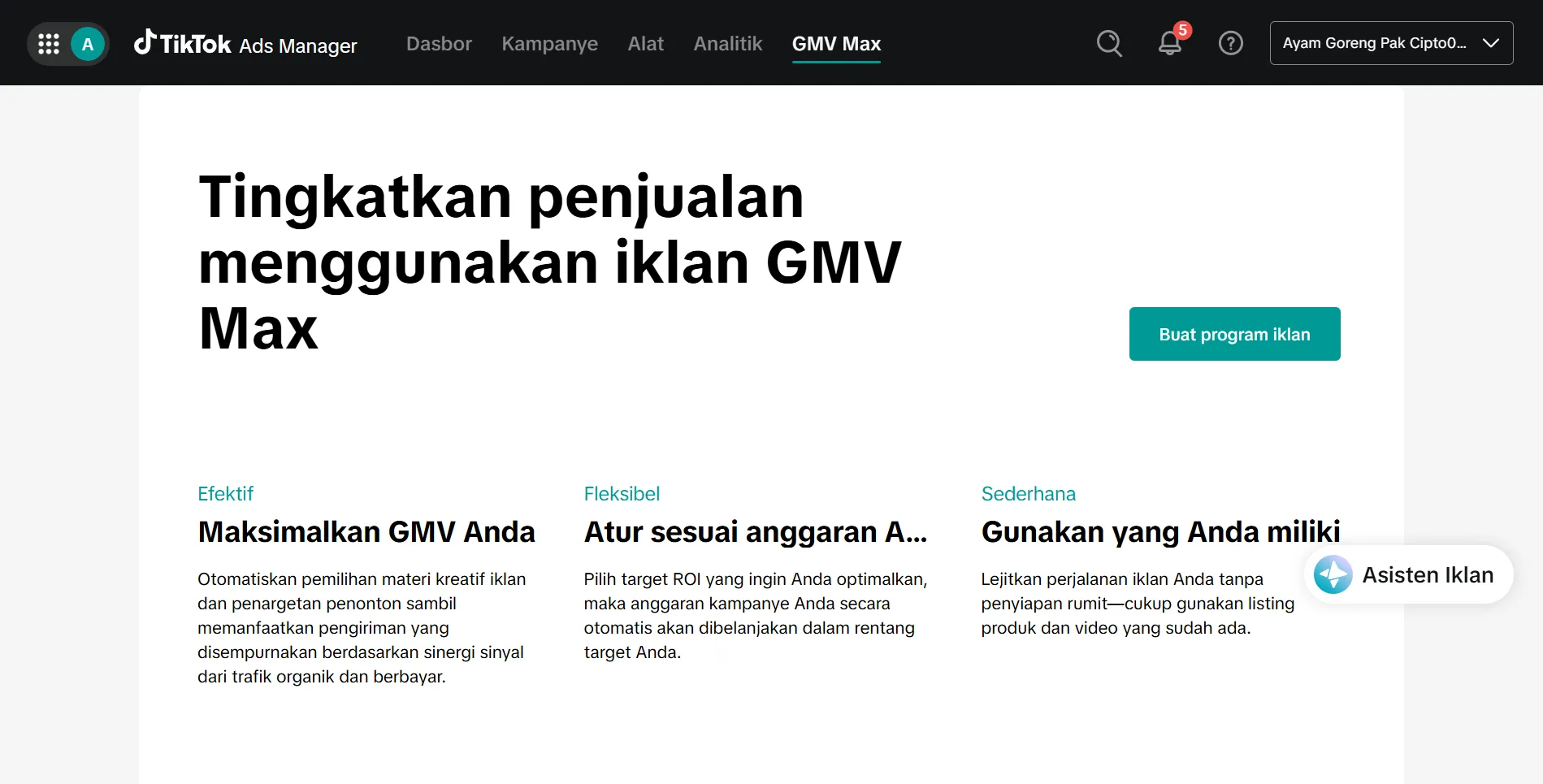 Antarmuka TikTok Ads Manager RM Pak Cipto
